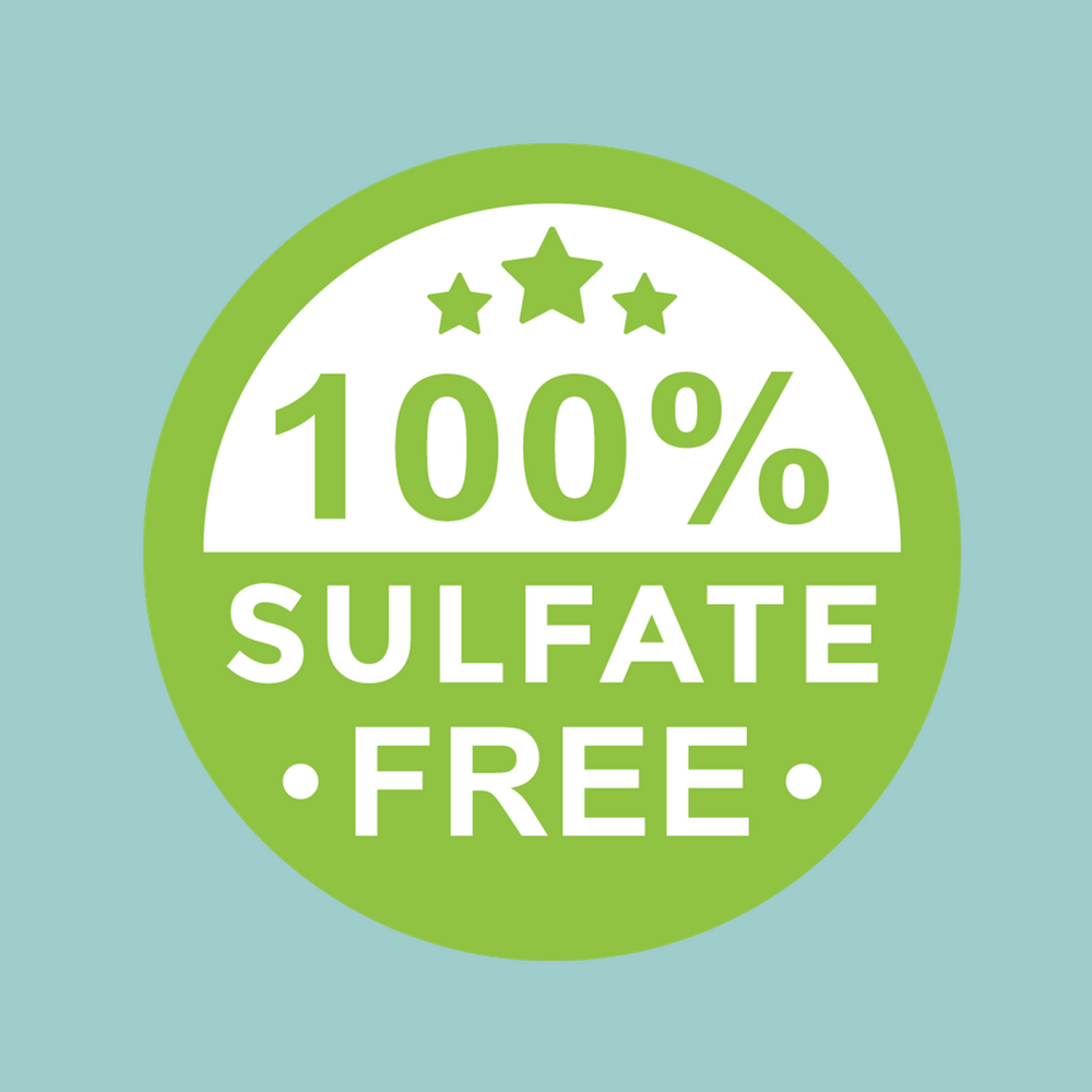 Sarah K Carnival Conditioner - E11 Store