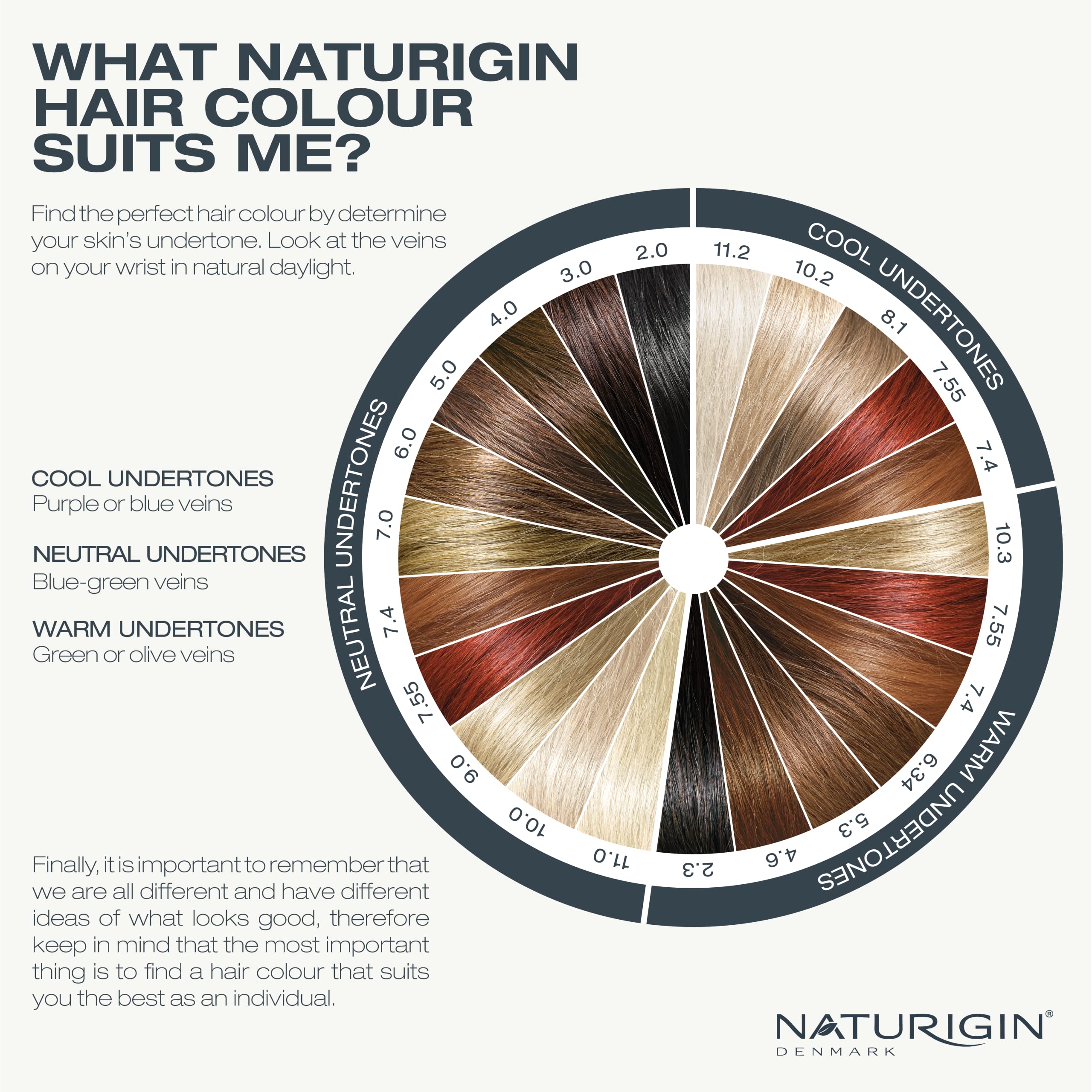 NATURIGIN Hair Color, E11 Store